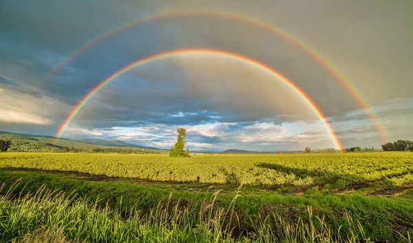 Double Rainbow in the Farm